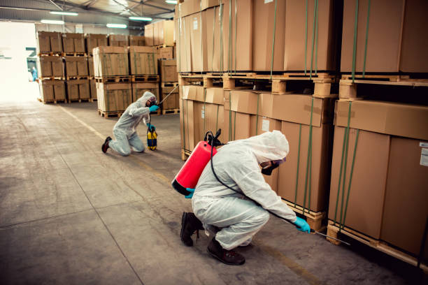 Best Emergency Pest Control  in Bull Valley, IL