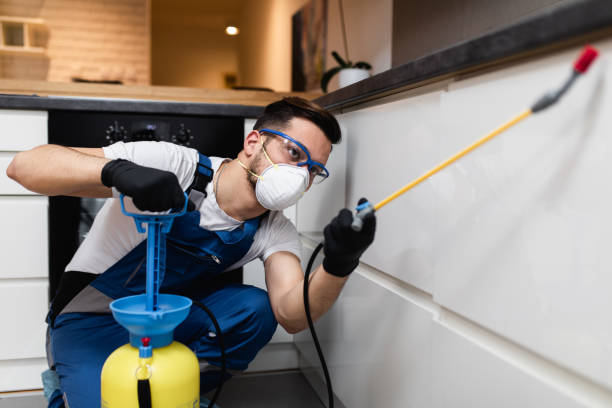Best Pest Removal Services  in Bull Valley, IL