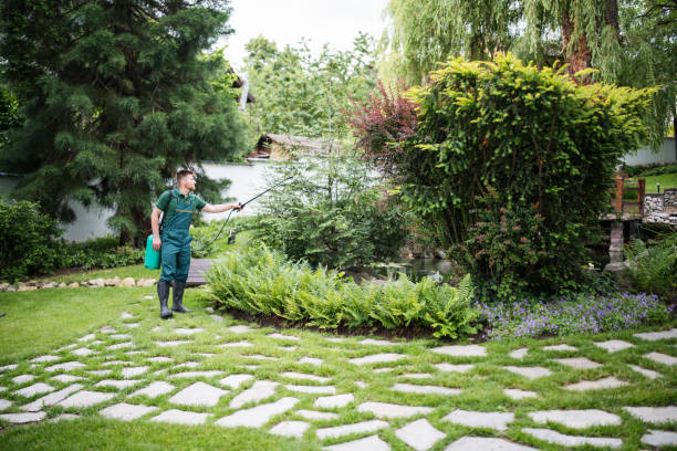 Best Pest Control Near Me in Bull Valley, IL
