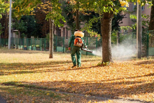 Best Local Pest Control Services  in Bull Valley, IL