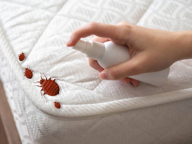 Best Best Pest Control Companies  in Bull Valley, IL