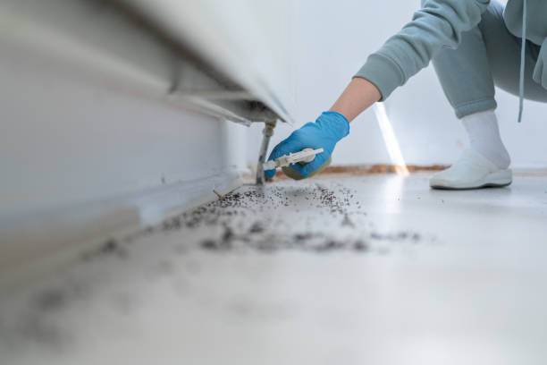 Professional Pest Control in Bull Valley, IL