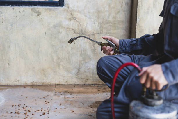 Best Local Pest Control Services  in Bull Valley, IL